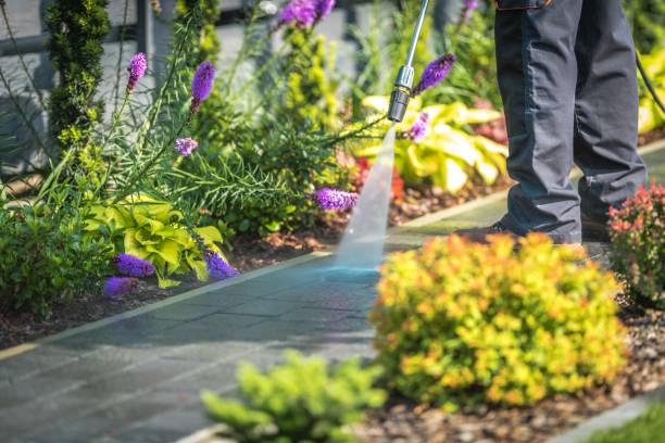 Best Sidewalk and Walkway Cleaning  in South Hempstead, NY