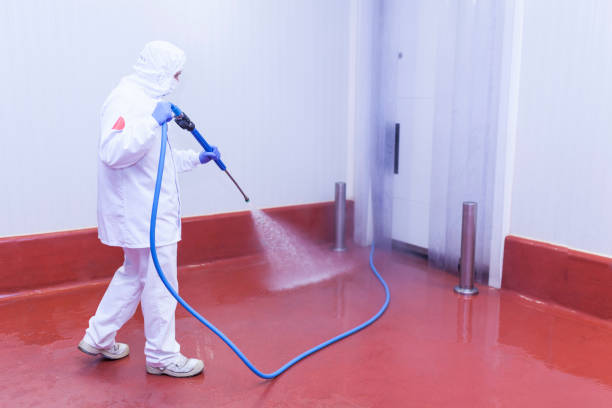 Best Machinery and Equipment Cleaning  in South Hempstead, NY